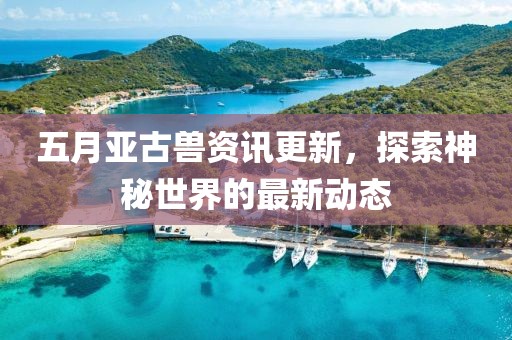 五月亚古兽资讯更新，探索神秘世界的最新动态