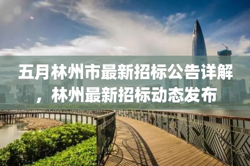 五月林州市最新招标公告详解，林州最新招标动态发布