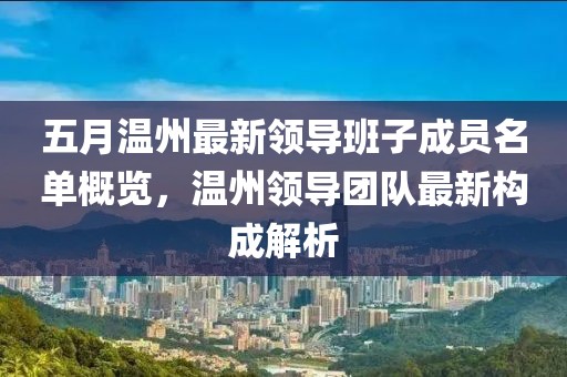 五月温州最新领导班子成员名单概览，温州领导团队最新构成解析