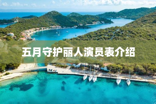 五月守护丽人演员表介绍