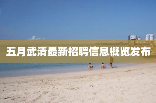 五月武清最新招聘信息概览发布