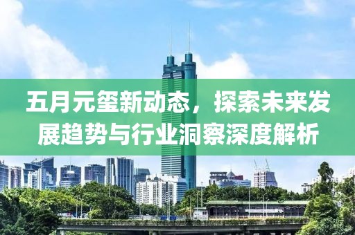 五月元玺新动态，探索未来发展趋势与行业洞察深度解析