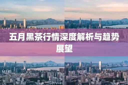 五月黑茶行情深度解析与趋势展望