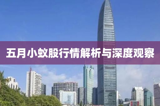 五月小蚁股行情解析与深度观察