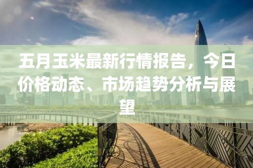 五月玉米最新行情报告，今日价格动态、市场趋势分析与展望