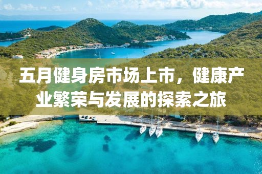 五月健身房市场上市，健康产业繁荣与发展的探索之旅