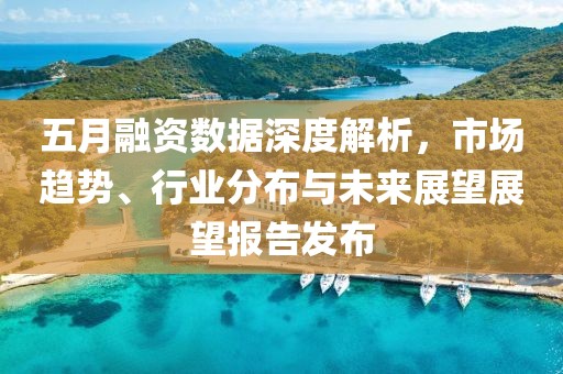 五月融资数据深度解析，市场趋势、行业分布与未来展望展望报告发布