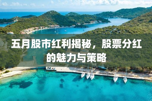 五月股市红利揭秘，股票分红的魅力与策略