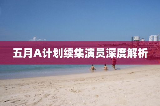 五月A计划续集演员深度解析