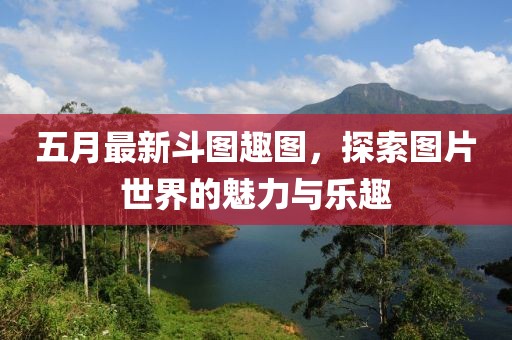 五月最新斗图趣图，探索图片世界的魅力与乐趣