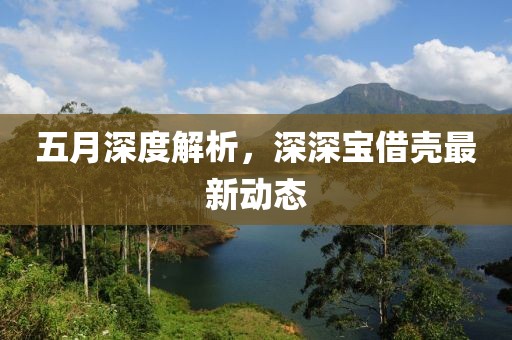 五月深度解析，深深宝借壳最新动态