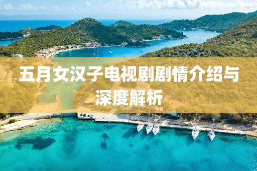 五月女汉子电视剧剧情介绍与深度解析
