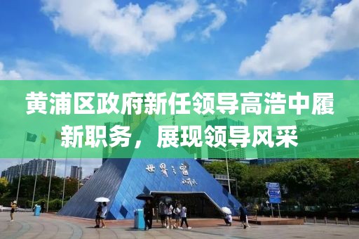 黄浦区政府新任领导高浩中履新职务，展现领导风采