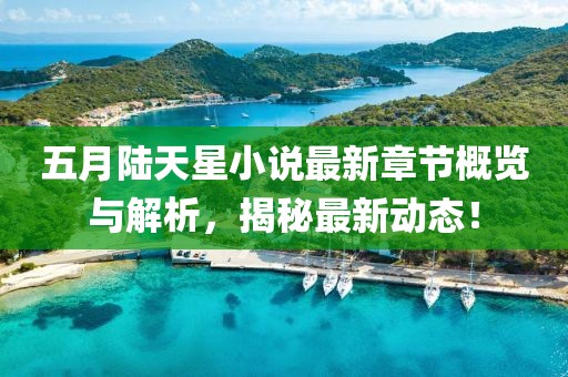 五月陆天星小说最新章节概览与解析，揭秘最新动态！