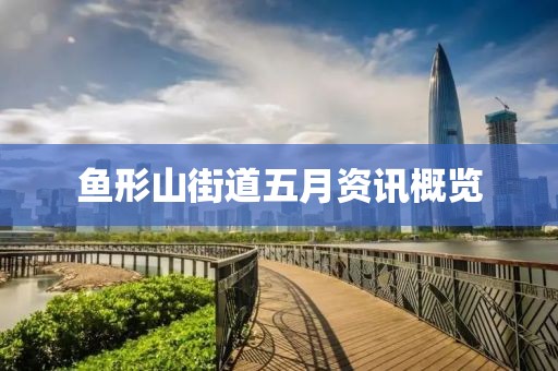 鱼形山街道五月资讯概览