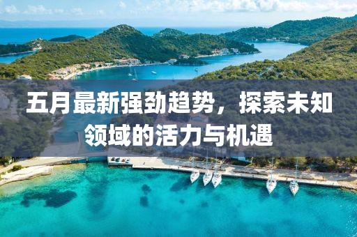 五月最新强劲趋势，探索未知领域的活力与机遇