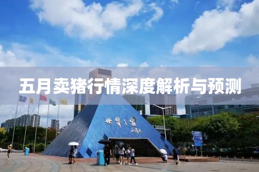 五月卖猪行情深度解析与预测