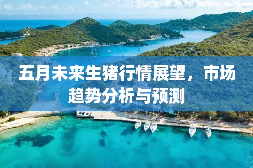 五月未来生猪行情展望，市场趋势分析与预测
