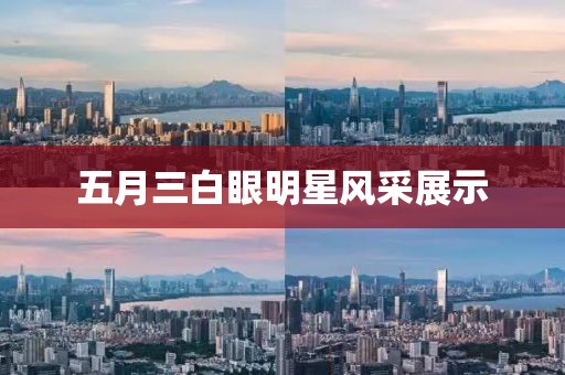 五月三白眼明星风采展示