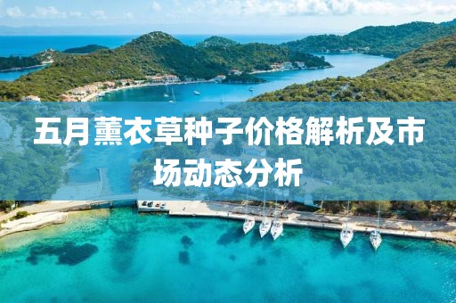 五月薰衣草种子价格解析及市场动态分析