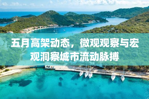 五月高架动态，微观观察与宏观洞察城市流动脉搏
