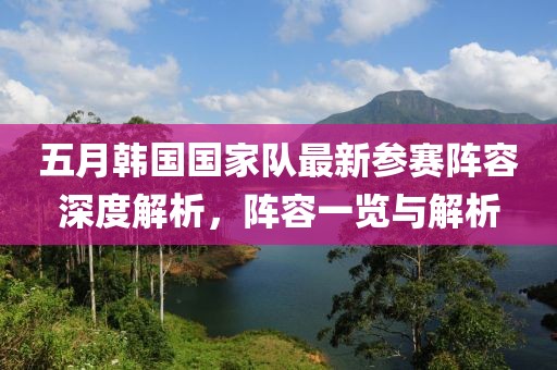 五月韩国国家队最新参赛阵容深度解析，阵容一览与解析