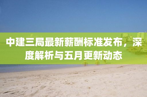 中建三局最新薪酬标准发布，深度解析与五月更新动态