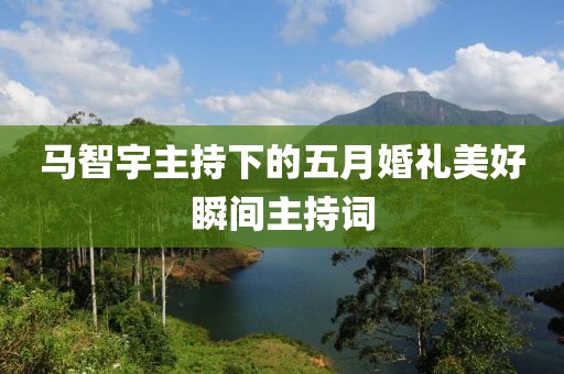 马智宇主持下的五月婚礼美好瞬间主持词