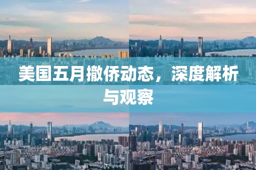 美国五月撤侨动态，深度解析与观察
