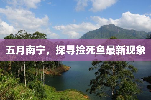五月南宁，探寻捡死鱼最新现象
