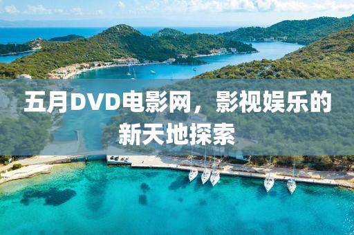 五月DVD电影网，影视娱乐的新天地探索