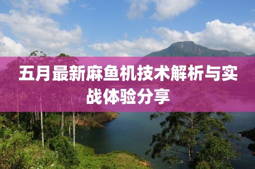 五月最新麻鱼机技术解析与实战体验分享