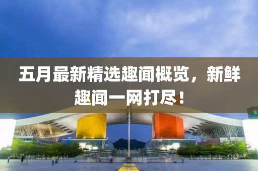 五月最新精选趣闻概览，新鲜趣闻一网打尽！