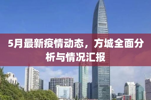 5月最新疫情动态，方城全面分析与情况汇报