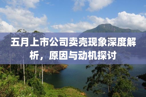 五月上市公司卖壳现象深度解析，原因与动机探讨