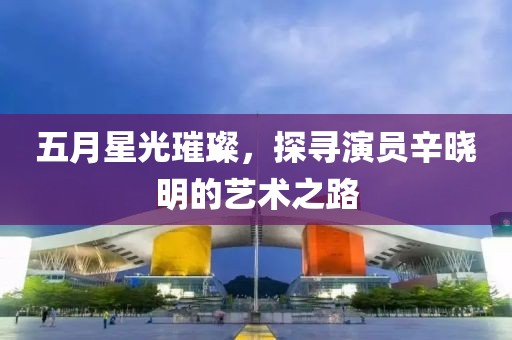 五月星光璀璨，探寻演员辛晓明的艺术之路