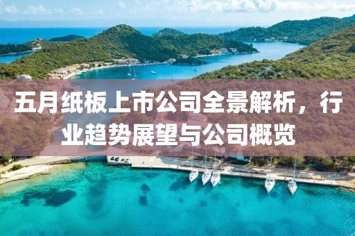 五月纸板上市公司全景解析，行业趋势展望与公司概览