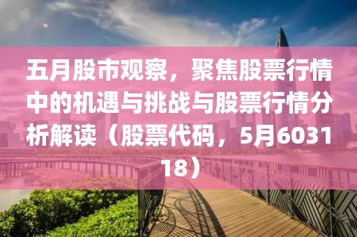 五月股市观察，聚焦股票行情中的机遇与挑战与股票行情分析解读（股票代码，5月603118）