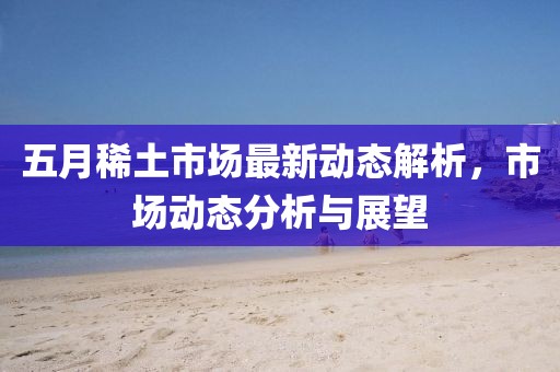 五月稀土市场最新动态解析，市场动态分析与展望