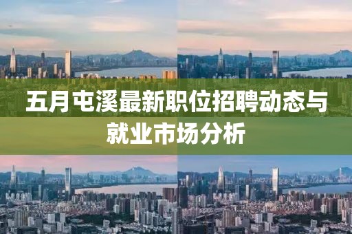 五月屯溪最新职位招聘动态与就业市场分析