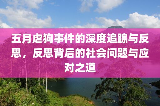 五月虐狗事件的深度追踪与反思，反思背后的社会问题与应对之道