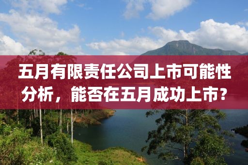 五月有限责任公司上市可能性分析，能否在五月成功上市？