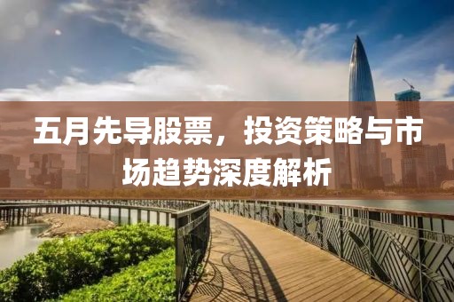 五月先导股票，投资策略与市场趋势深度解析
