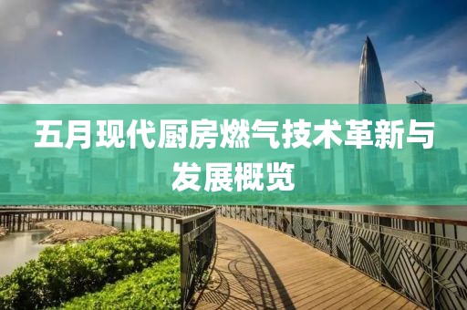五月现代厨房燃气技术革新与发展概览