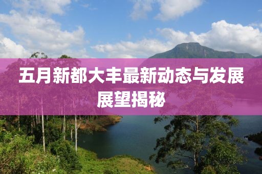 五月新都大丰最新动态与发展展望揭秘