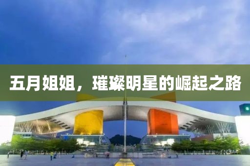 五月姐姐，璀璨明星的崛起之路