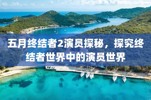 五月终结者2演员探秘，探究终结者世界中的演员世界
