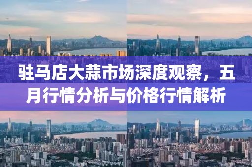 驻马店大蒜市场深度观察，五月行情分析与价格行情解析