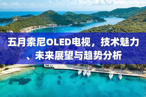 五月索尼OLED电视，技术魅力、未来展望与趋势分析