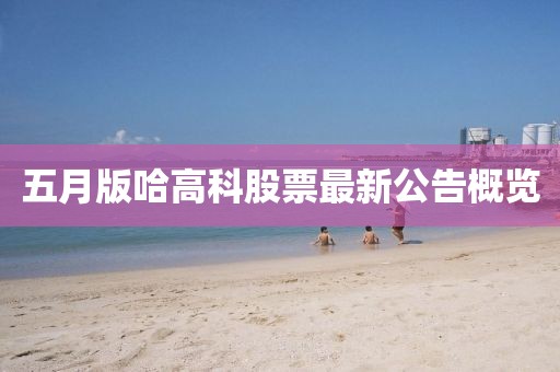 五月版哈高科股票最新公告概览